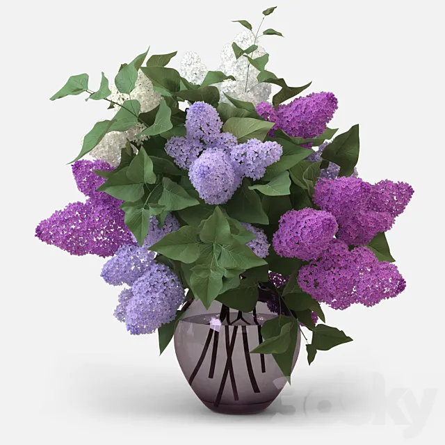 Lilac Bouquet 3DSMax File