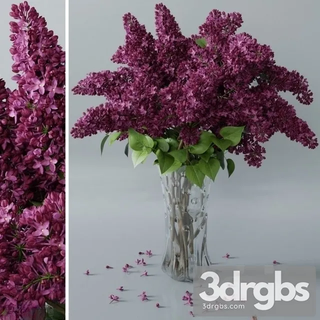Lilac Purble Vaset Bouquet 1 3dsmax Download