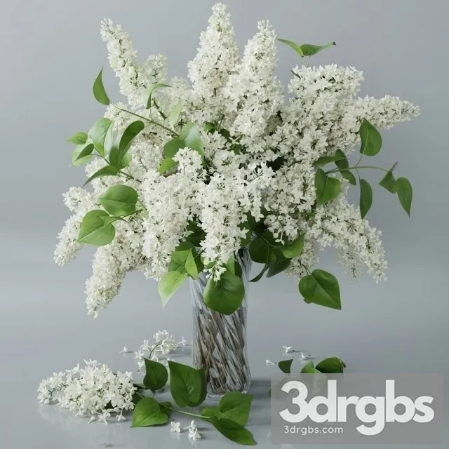 Lilac Vaset Bouquet 1 3dsmax Download