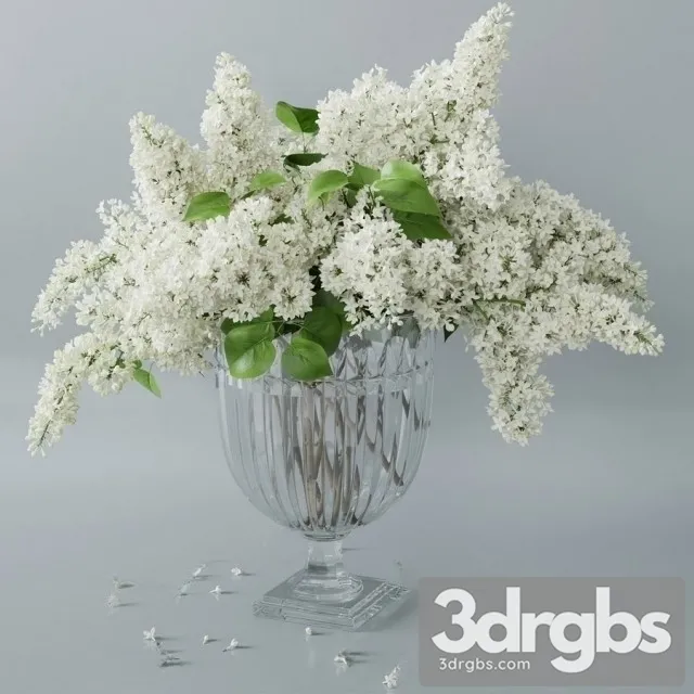 Lilac Vaset Bouquet 2 3dsmax Download