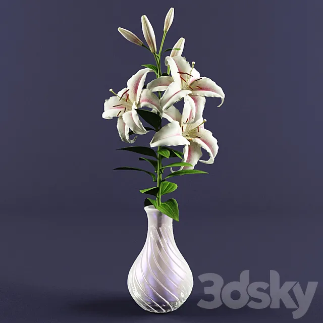 Lily 3ds Max