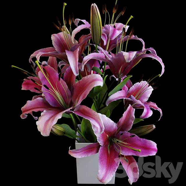 Lily bouquet 3ds Max