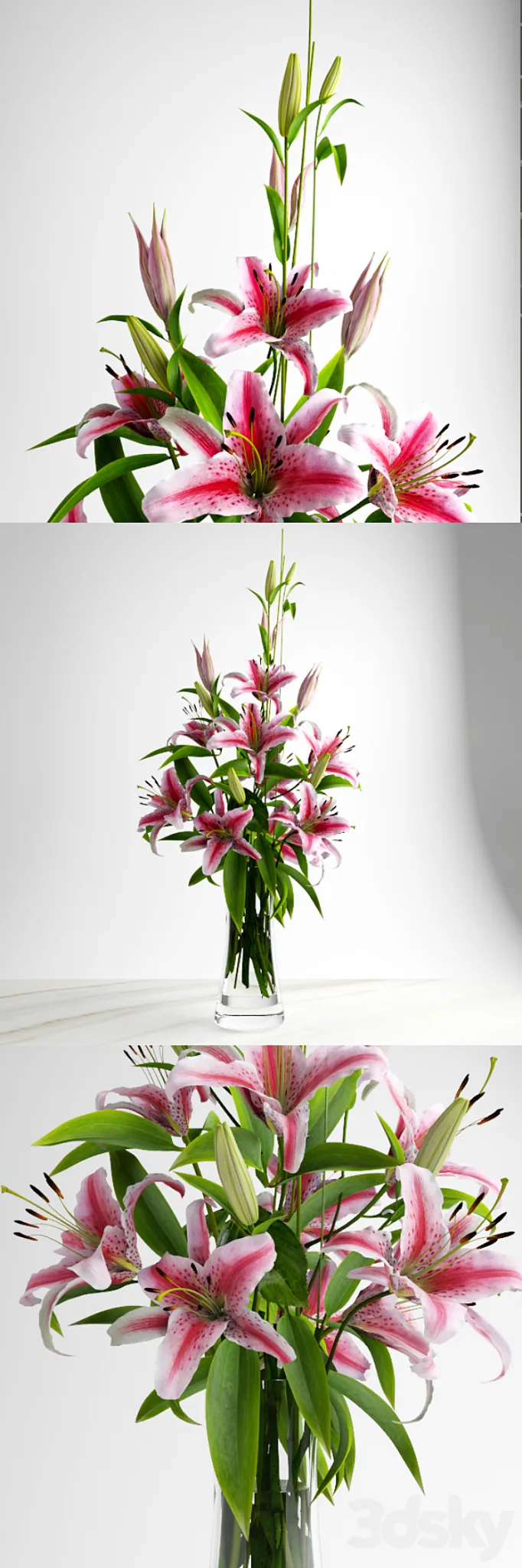 Lily bouquet 3DS Max