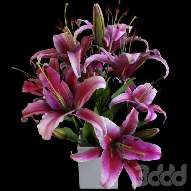 Lily bouquet 3dsMax Model