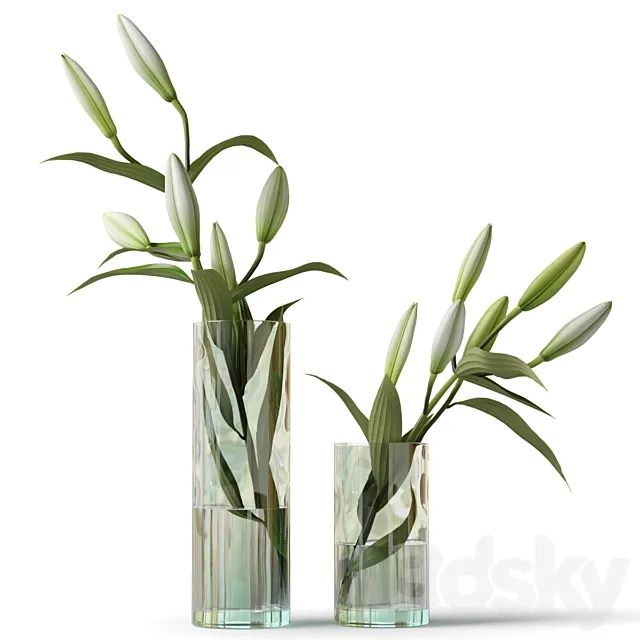 Lily in a glass vase 3ds Max