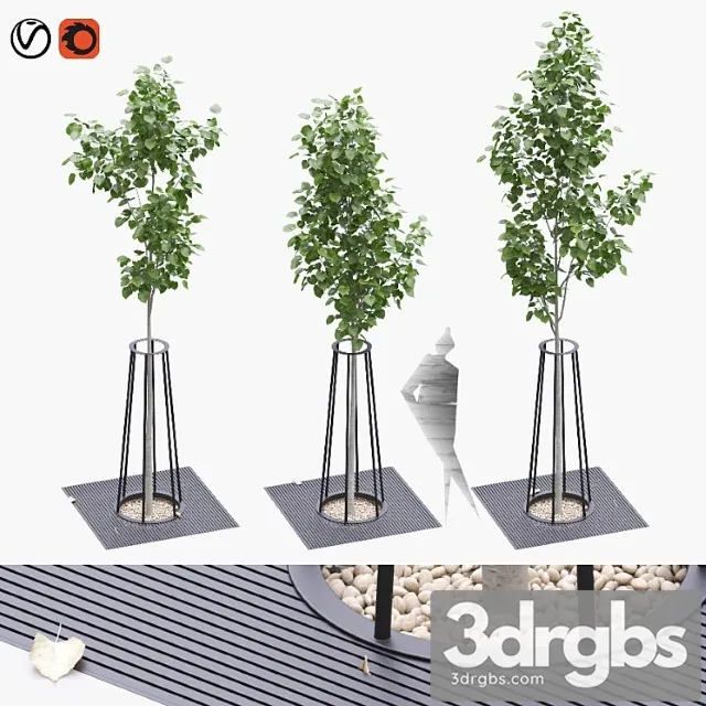 Linden Seedlings in a Tree Trunk Lattice 3dsmax Download