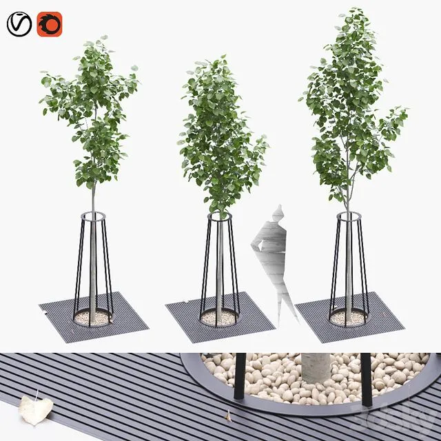 Linden seedlings in a tree-trunk lattice 3dsMax Model