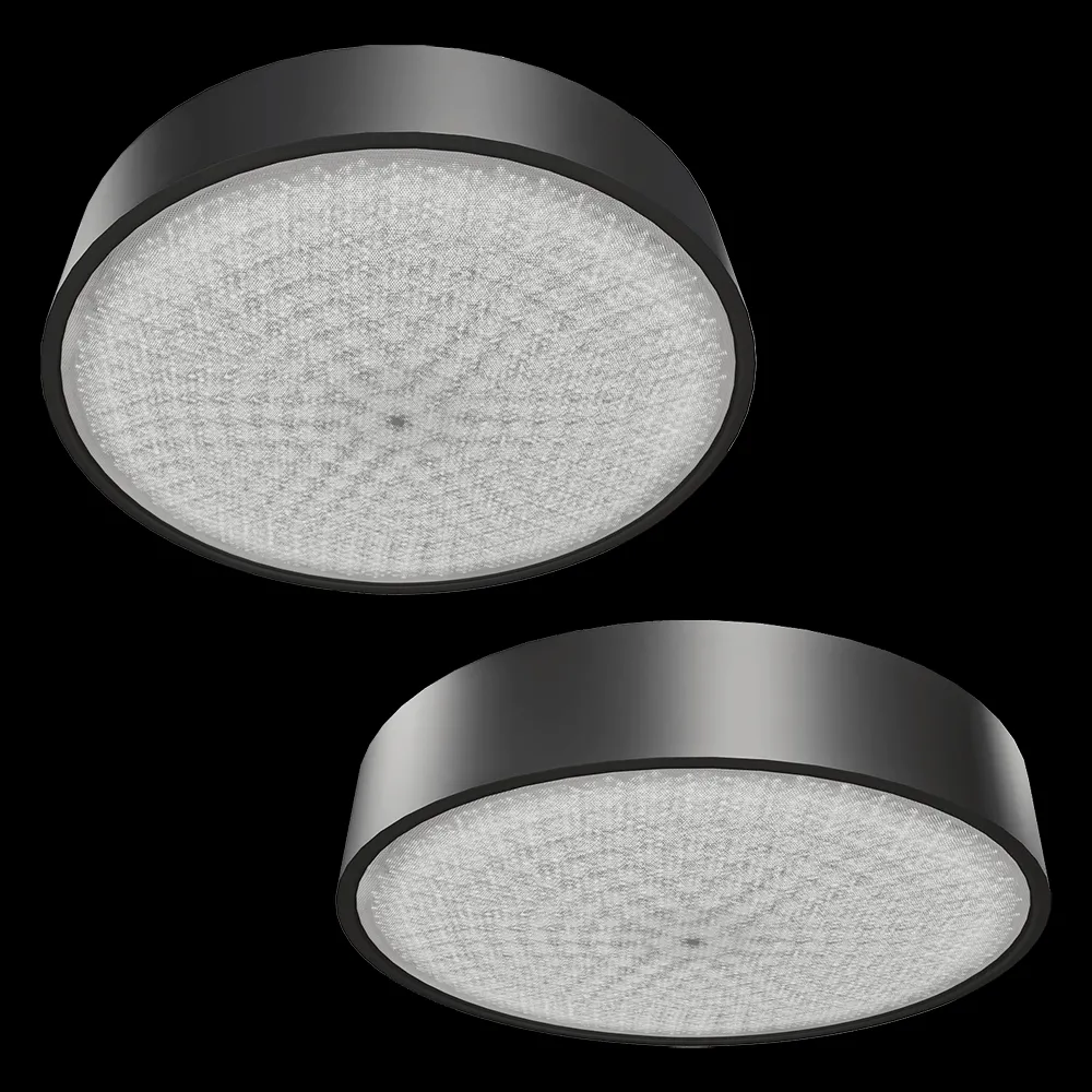 Liralighting – Surface mounted luminaire SIR PLATTER 3ds Max