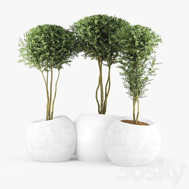 LT CONCRETE PLANTER _ ROUND _ MODULAR _ CONTEMPORARY ESFERA BY EMILIANA DESIGN 3ds Max