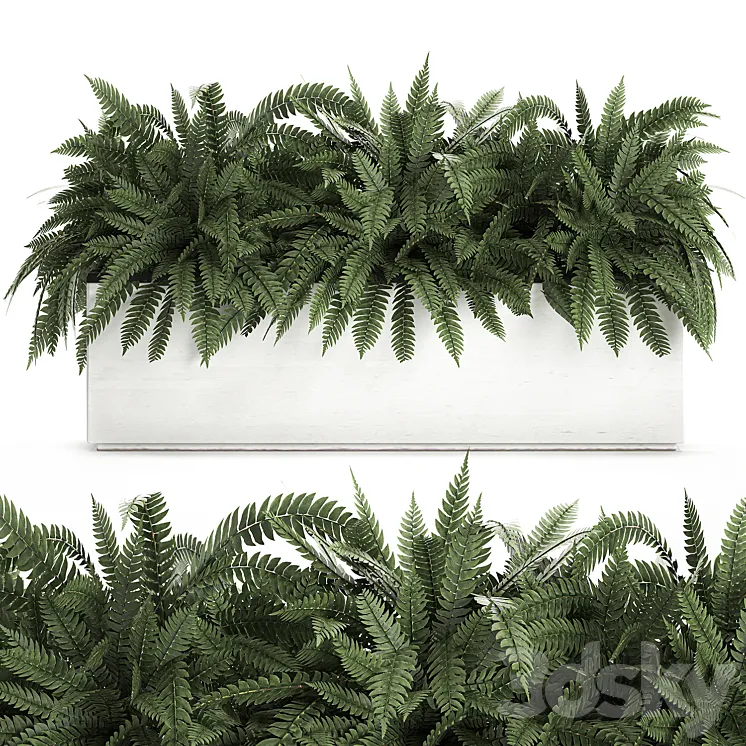 Lush ornamental bushes overgrown in a flowerbed pot with Nephrolepis fern outdoor flowerpot. Set 673. 3DS Max