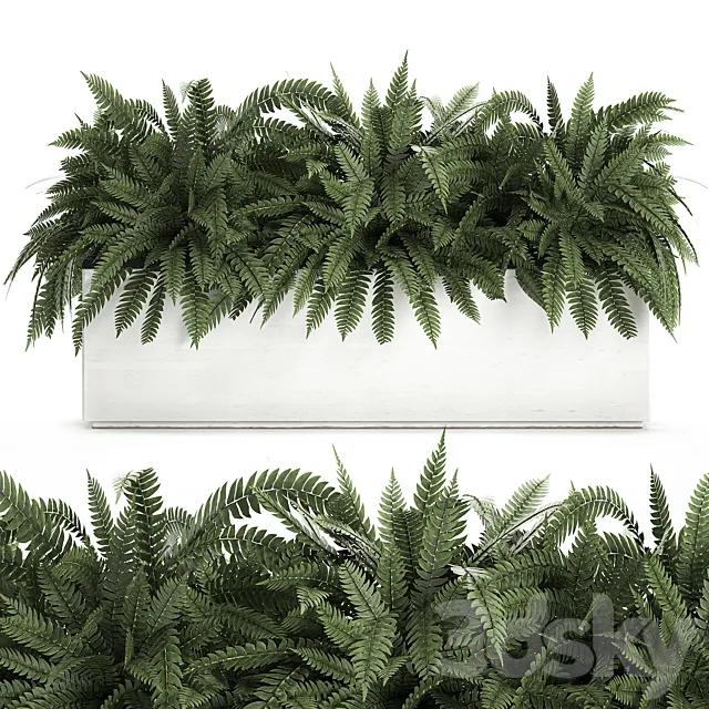 Lush ornamental bushes overgrown in a flowerbed pot with Nephrolepis. fern. outdoor flowerpot. Set 673. 3DSMax File