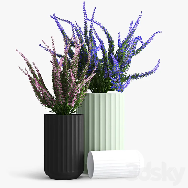 Lyngby_porcelain 3DS Max