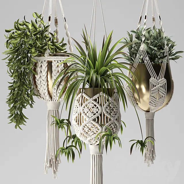 Macrame Plant Hangers 3ds Max