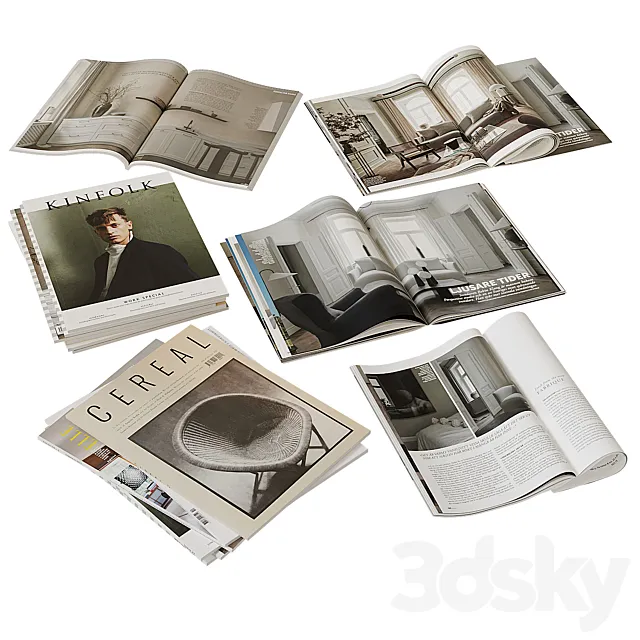 Magazines 2 3DS Max Model