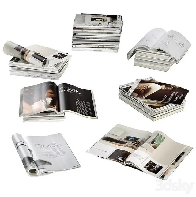 Magazines 3dsMax Model