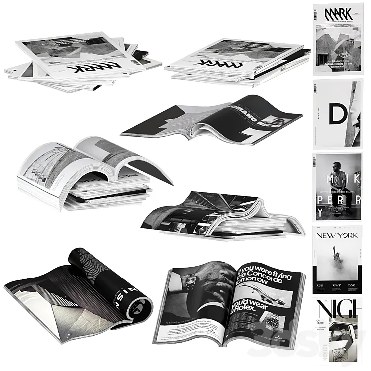 Magazines dark color 1 3DS Max