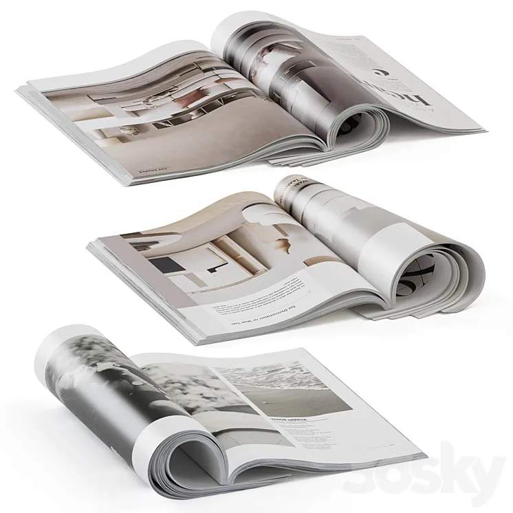 magazines rolled 3DS Max