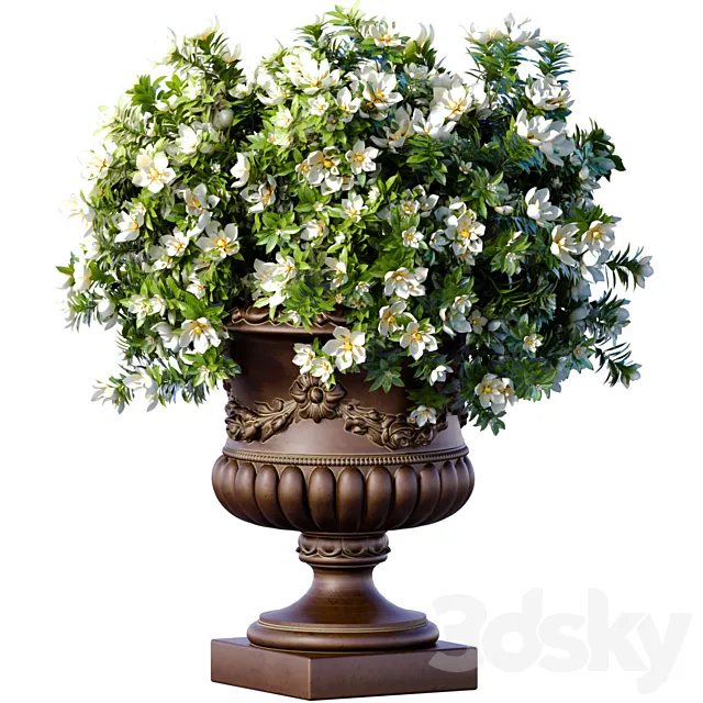 Magnolia flowers Bouquet in a classic vase pot flowerpot for decoration.Indoor interior Plant 3ds Max