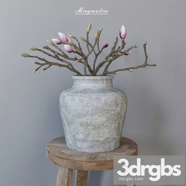 Magnolia In Concrete Vase 1 3dsmax Download