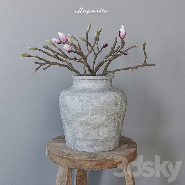 Magnolia in concrete vase 3ds Max