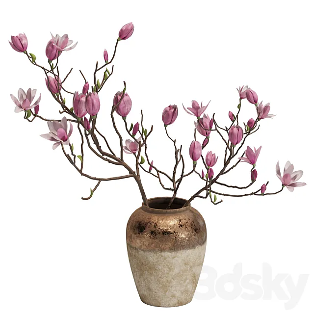 Magnolia Shrubs In Clay Vase 04 3ds Max