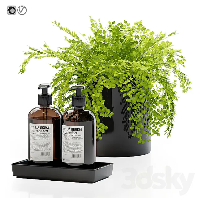 Maidenhair ferns adiantum tenerum capillus veneris with decor set for bathroom 3ds Max