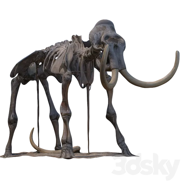 Mammoth skeleton 3DS Max Model