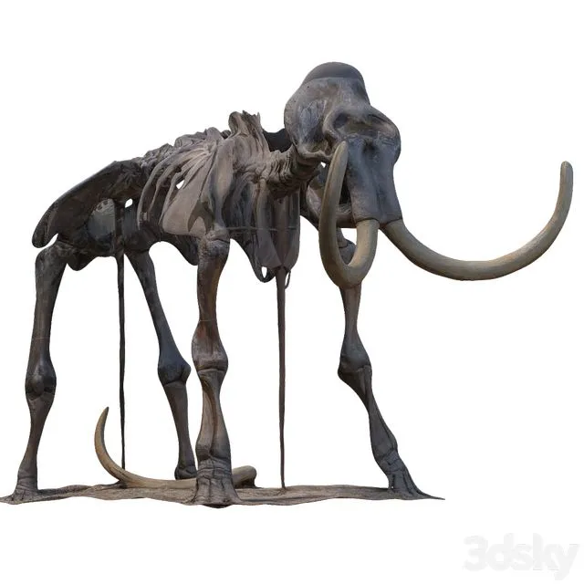 Mammoth skeleton 3dsMax Model
