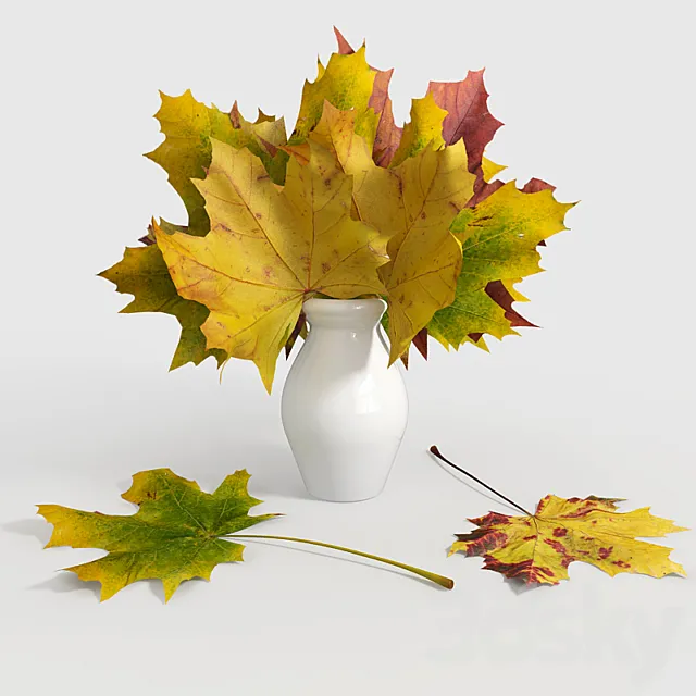 Maple leaves in a vase 3DSMax File