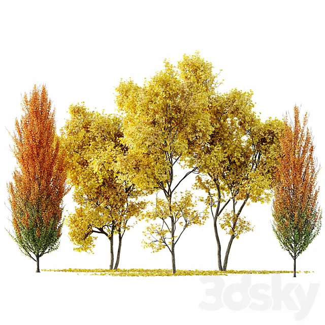 Maple Sapindaceae and Acer Saccharinum Fall trees 3DS Max Model