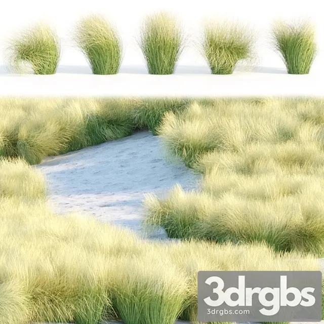 Maram Grass Collection Vol 155 3dsmax Download