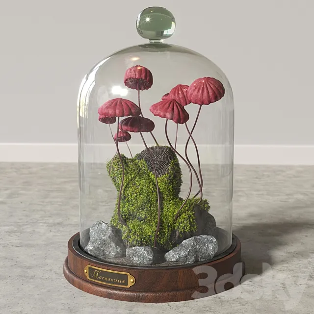 Marasmius_Florarium 3ds Max