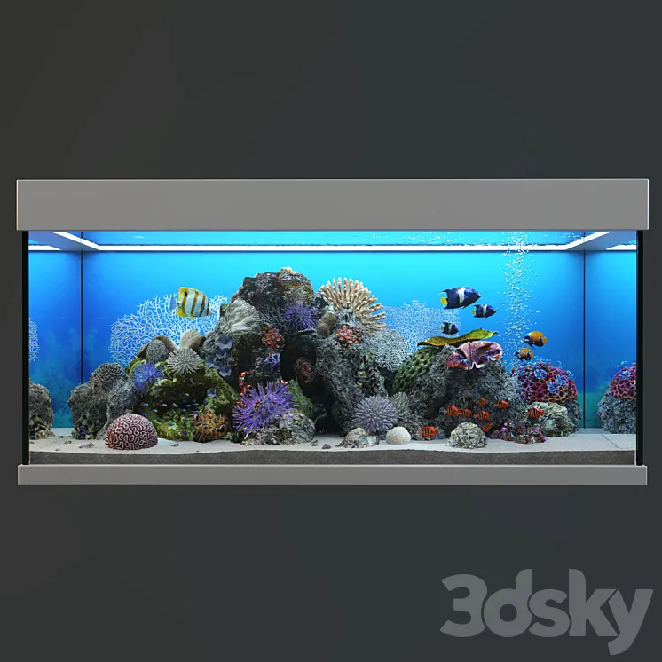 Marine Aquarium 3DS Max