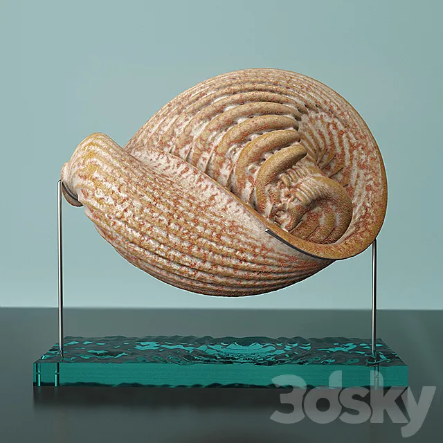 «Martian Seashell» 3DS Max Model