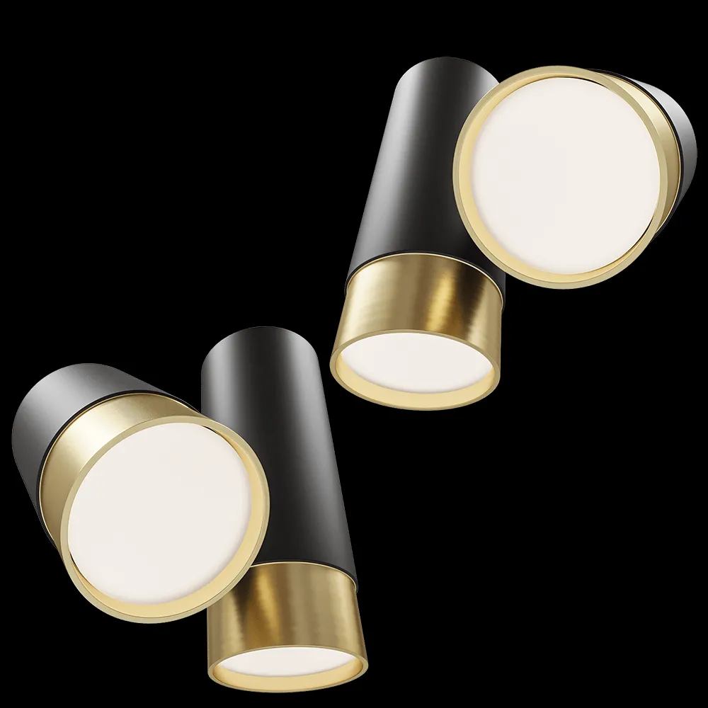 Maxlight – Ceiling lamp Puma C0195 3ds Max