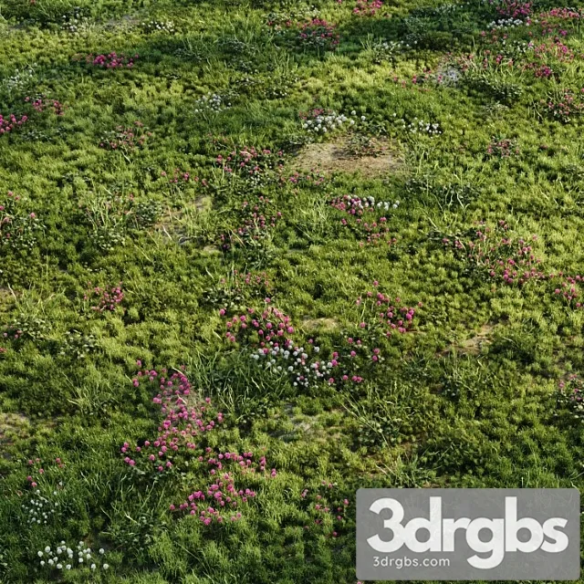 Meadow Grass 3dsmax Download