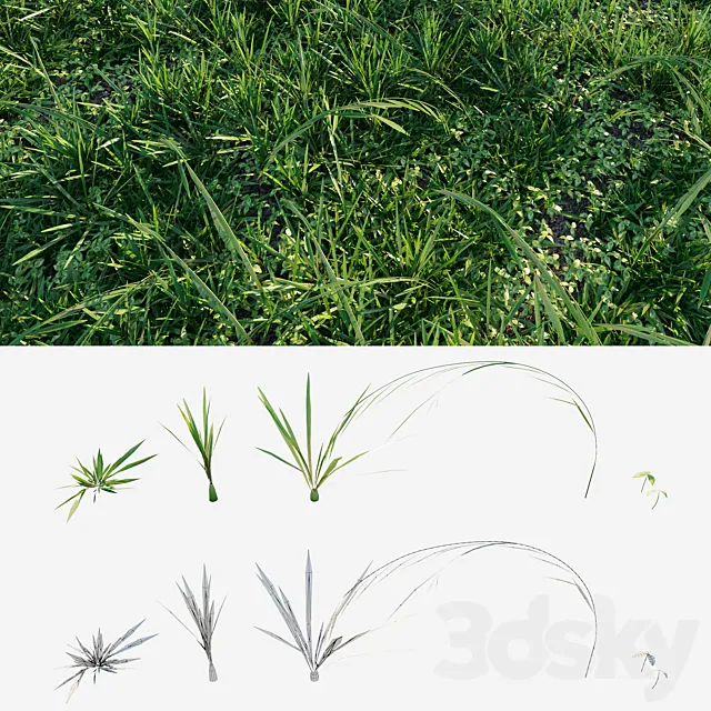 Meadow grass 3DS Max Model