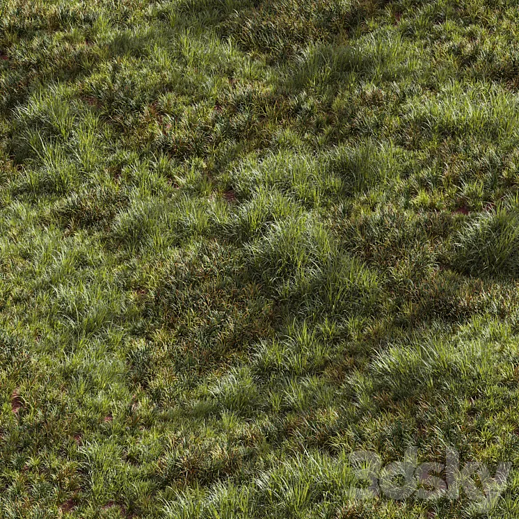 Meadow Lawn Grassland Set 002 3DS Max Model