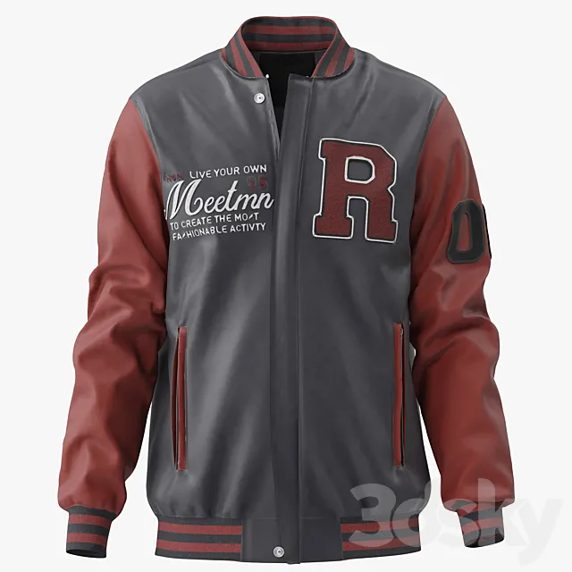 Men Embroidery Baseball Jackets 3ds Max