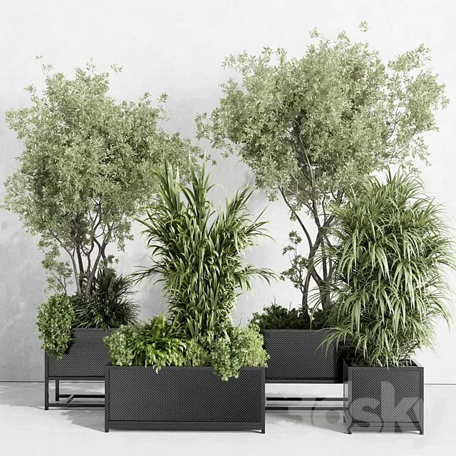 metal box plants on stand – set indoor plant 425 3DS Max Model