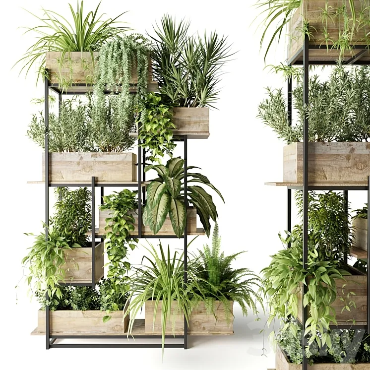 Metal rack with plants in wooden boxes 3DS Max