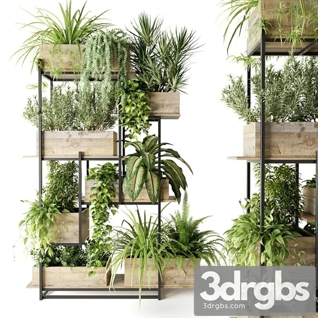 Metal rack with plants in wooden boxes