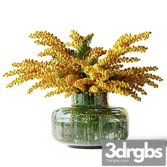 Mimosa In A Low Glass Vase 3dsmax Download