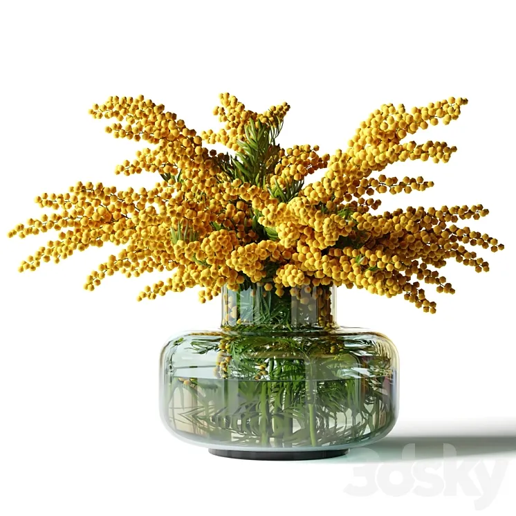 Mimosa in a low glass vase 3DS Max