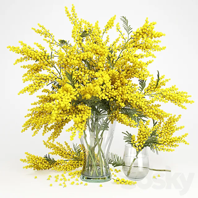 Mimosa_1 3ds Max