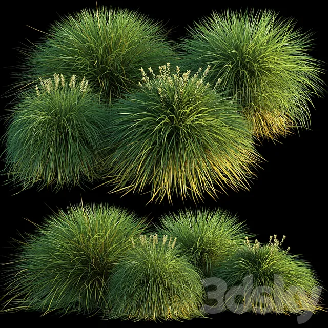 Miscanthus 3DS Max Model