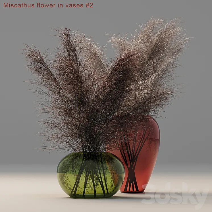 Miscathus flower in vases # 2 3DS Max