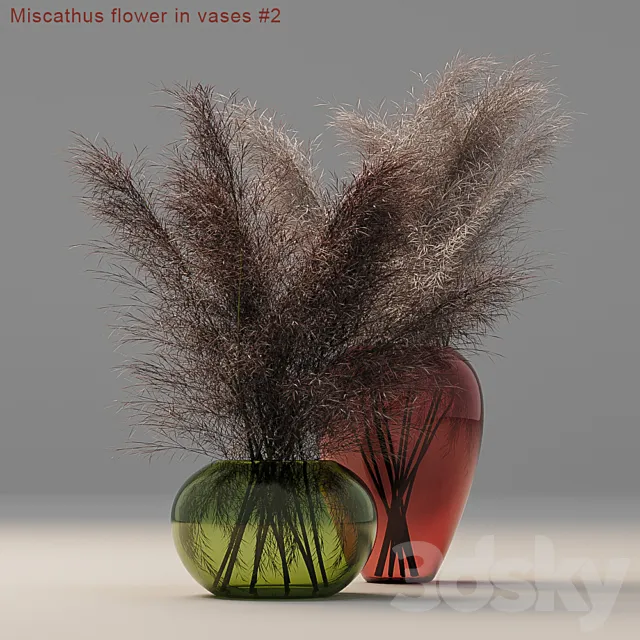 Miscathus flower in vases # 2 3DSMax File