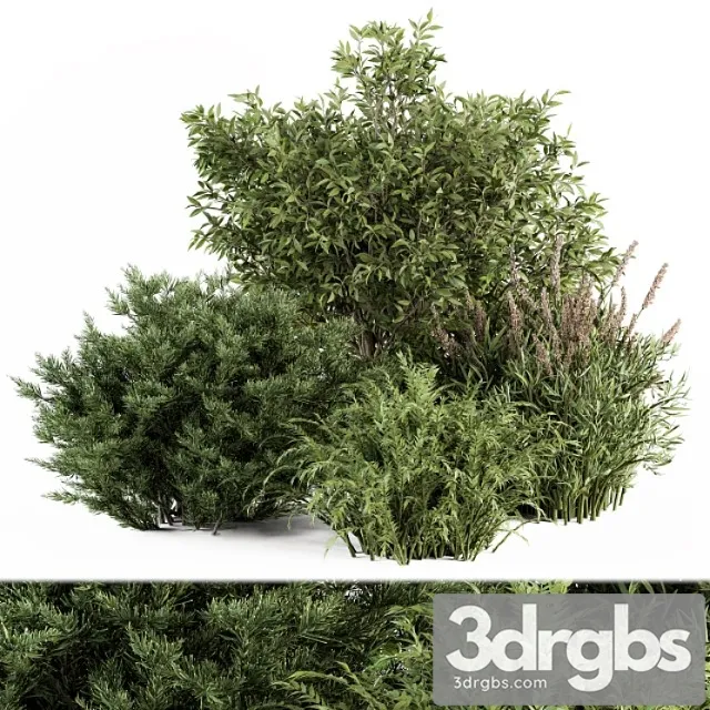 Mixed plant bush – bush set 37