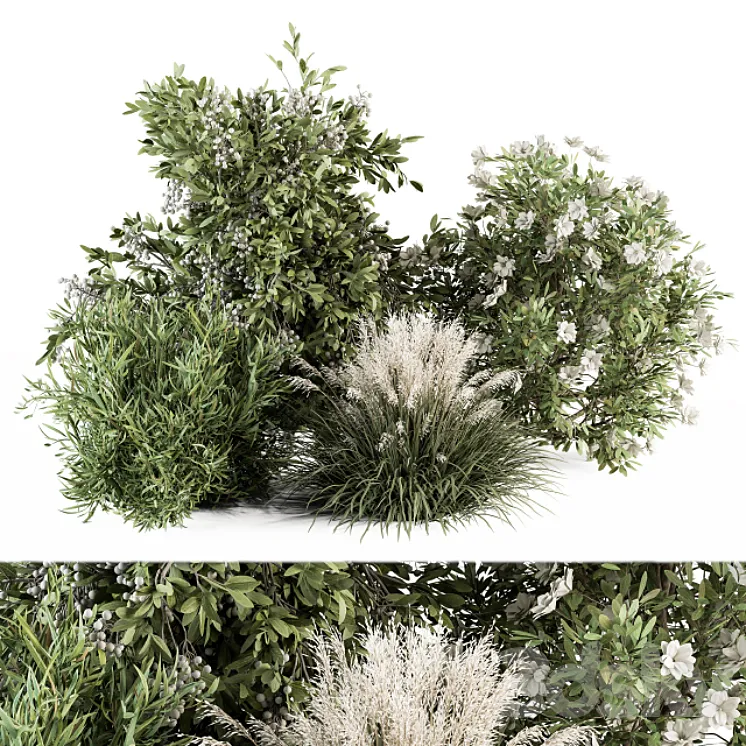 Mixed Plant Bush – Bush Set 49 3DS Max
